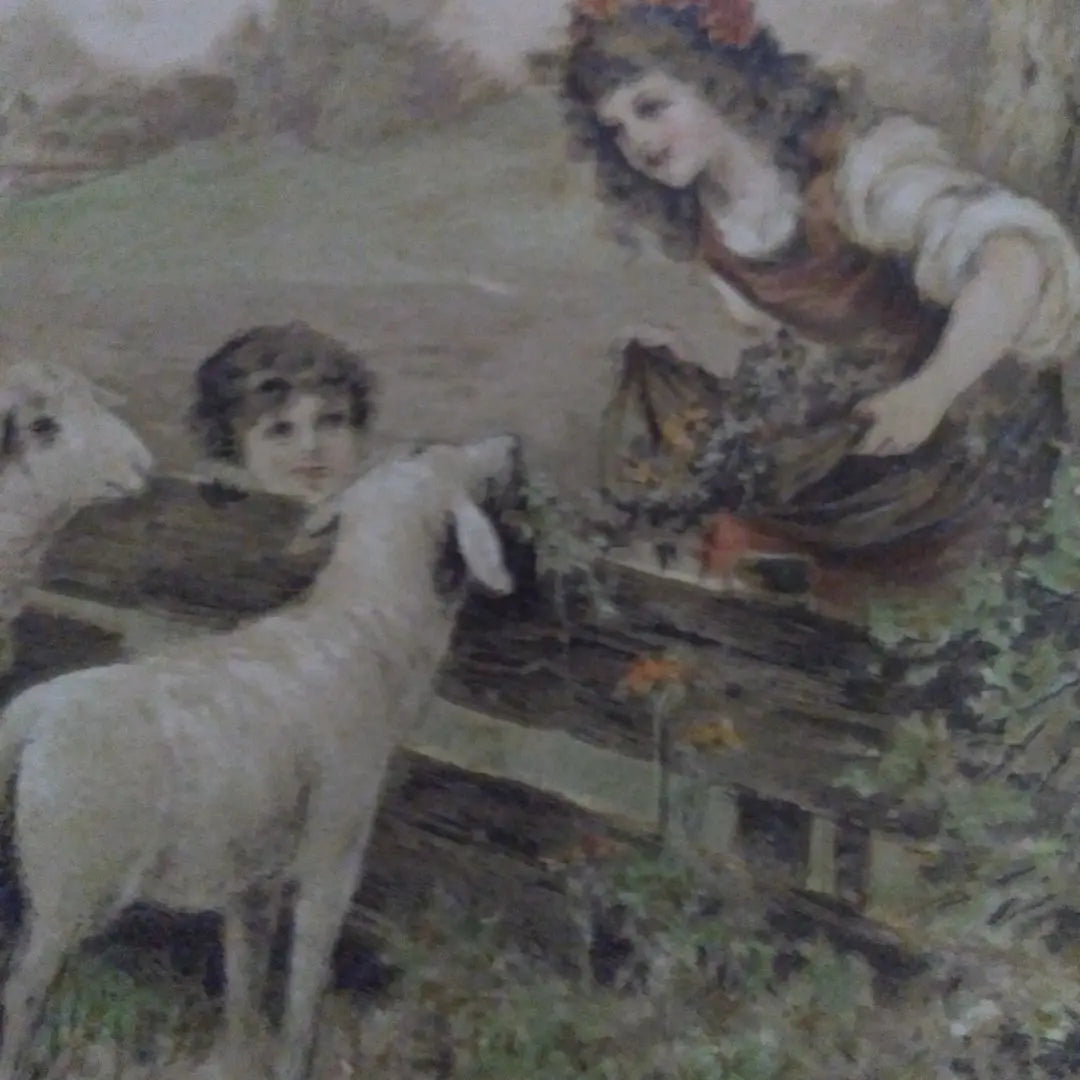 Antique postcard/Sheep, girl and boy