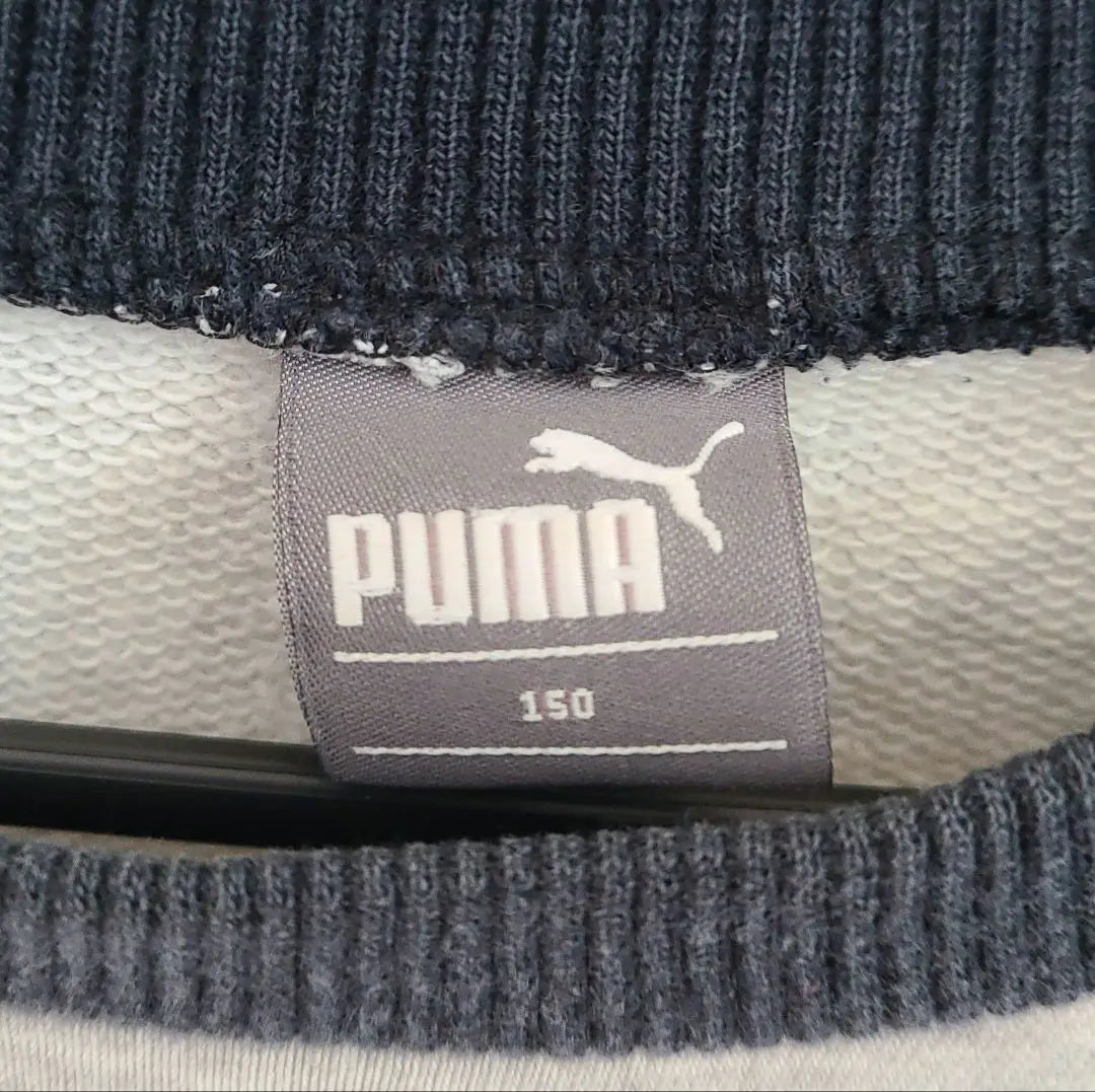 150 PUMA Trainer Border Puma Sweat Tops Junior | １５０　PUMA　トレーナー　ボーダー　プーマ　スウェット　トップス　ジュニア