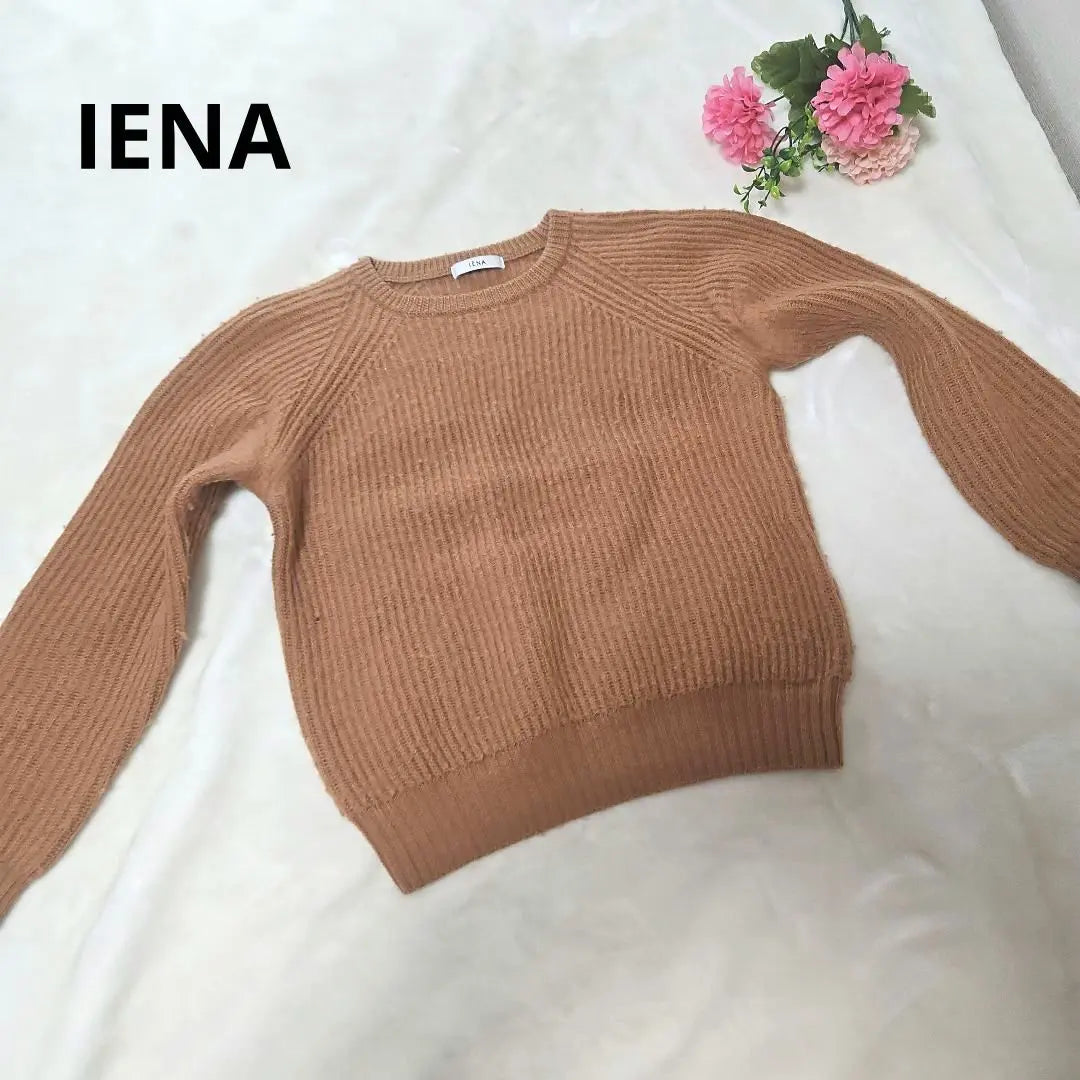 [De moda ⭐ Popular ⭐IENA] Suéter de lana marrón | 【オシャレ⭐人気⭐IENA】ブラウン ウールセーター