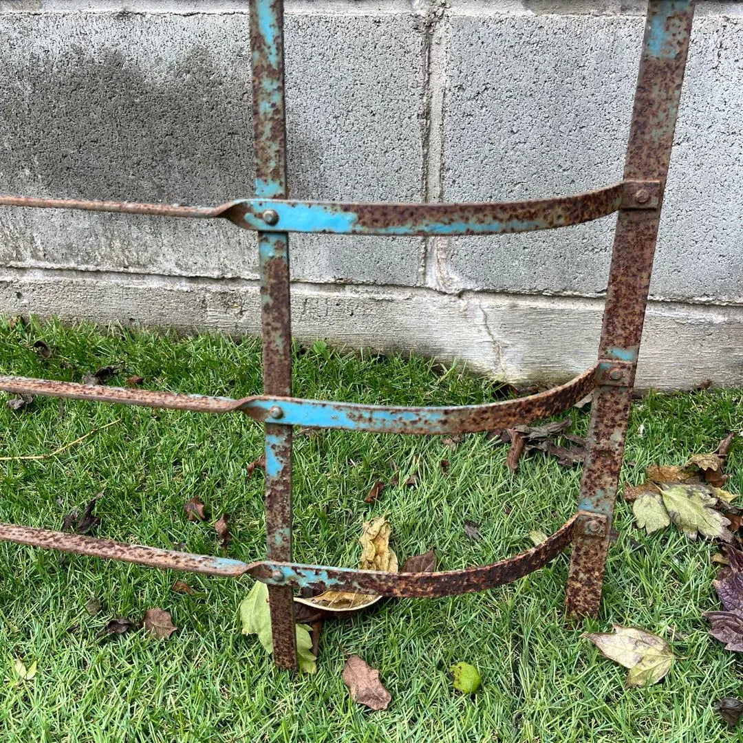 Vintage iron fence