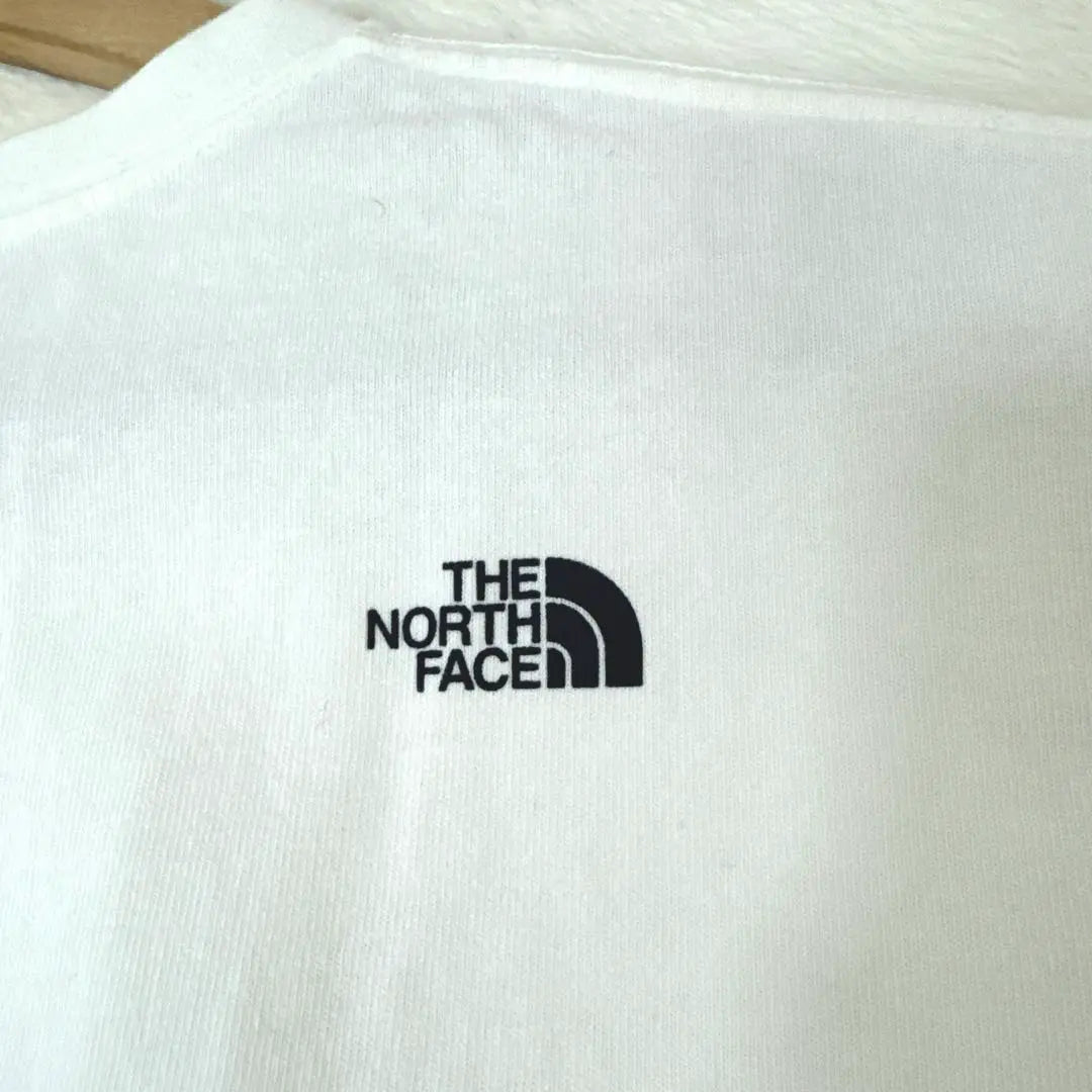 THE NORTH FACE Short Sleeve Big Logo T -shirt Short Sleeve | THE NORTH FACE ショートスリーブ ビッグロゴ Tシャツ 半袖