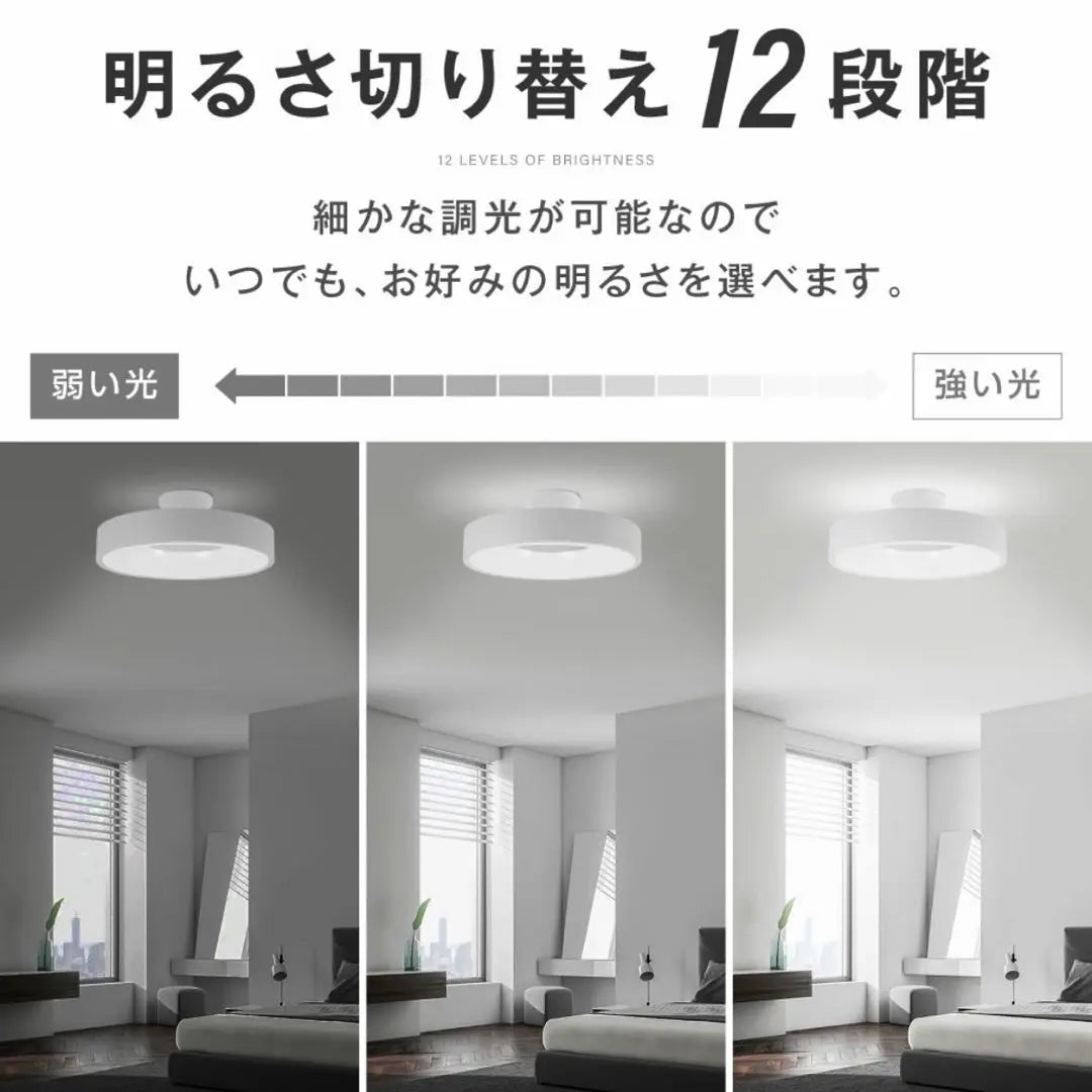 10 tatami mats LED ceiling light stylish electric remote control color adjustment light fixture