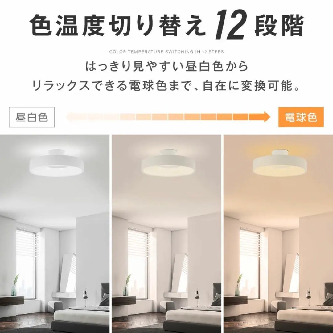 10 tatami mats LED ceiling light stylish electric remote control color adjustment light fixture