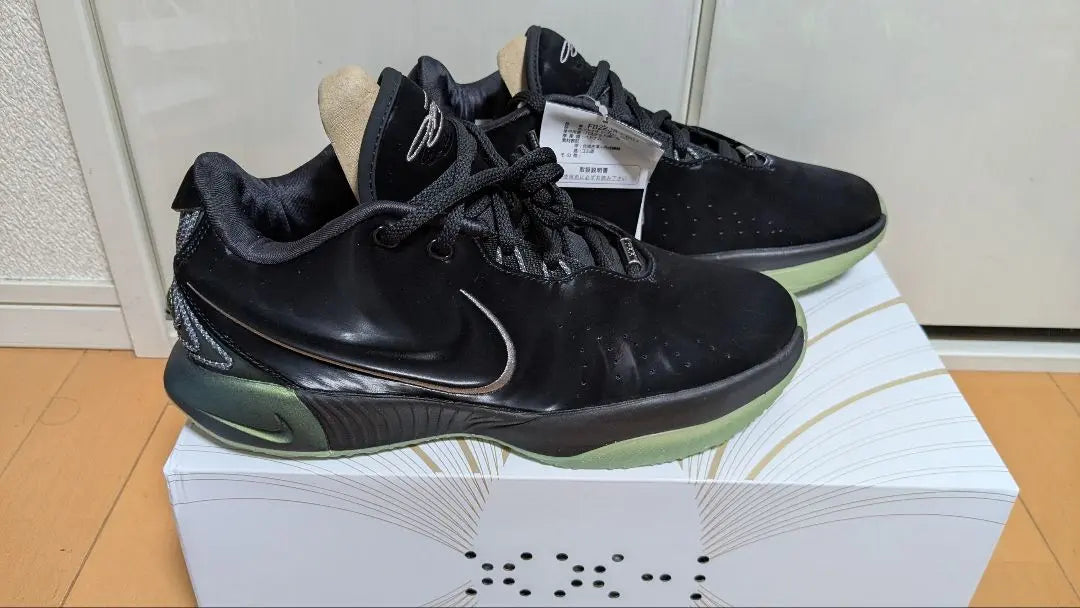 NIKE LeBron 21 26cm