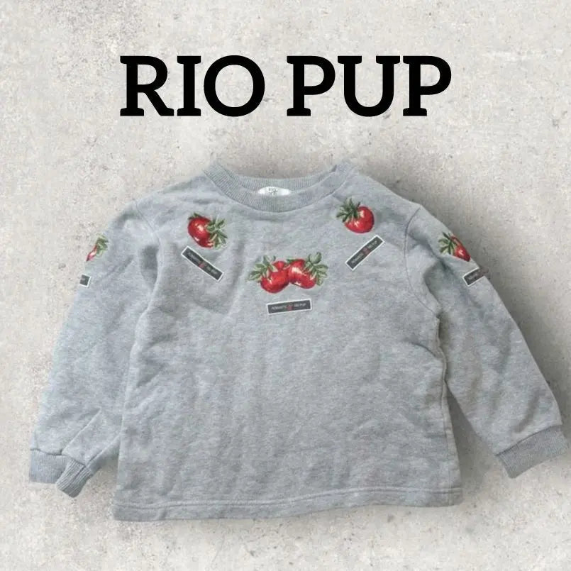 RIO PUP Kids Long Sleeve Sweatshirt (110) Gray Korea