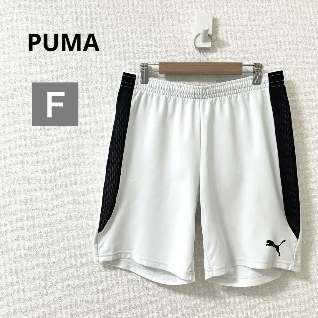 Puma Men's Practice Half Pants Elastic Waist Soccer Wear White