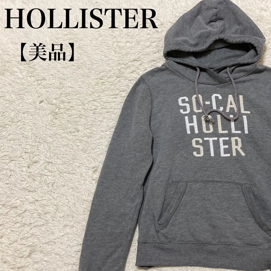 Beautiful Hollister Simple Basic Pullover Hoodie Adult Casual Logo