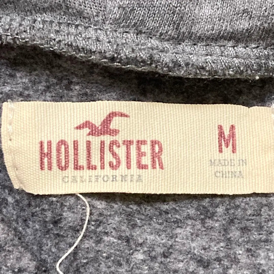 Beautiful Hollister Simple Basic Pullover Hoodie Adult Casual Logo