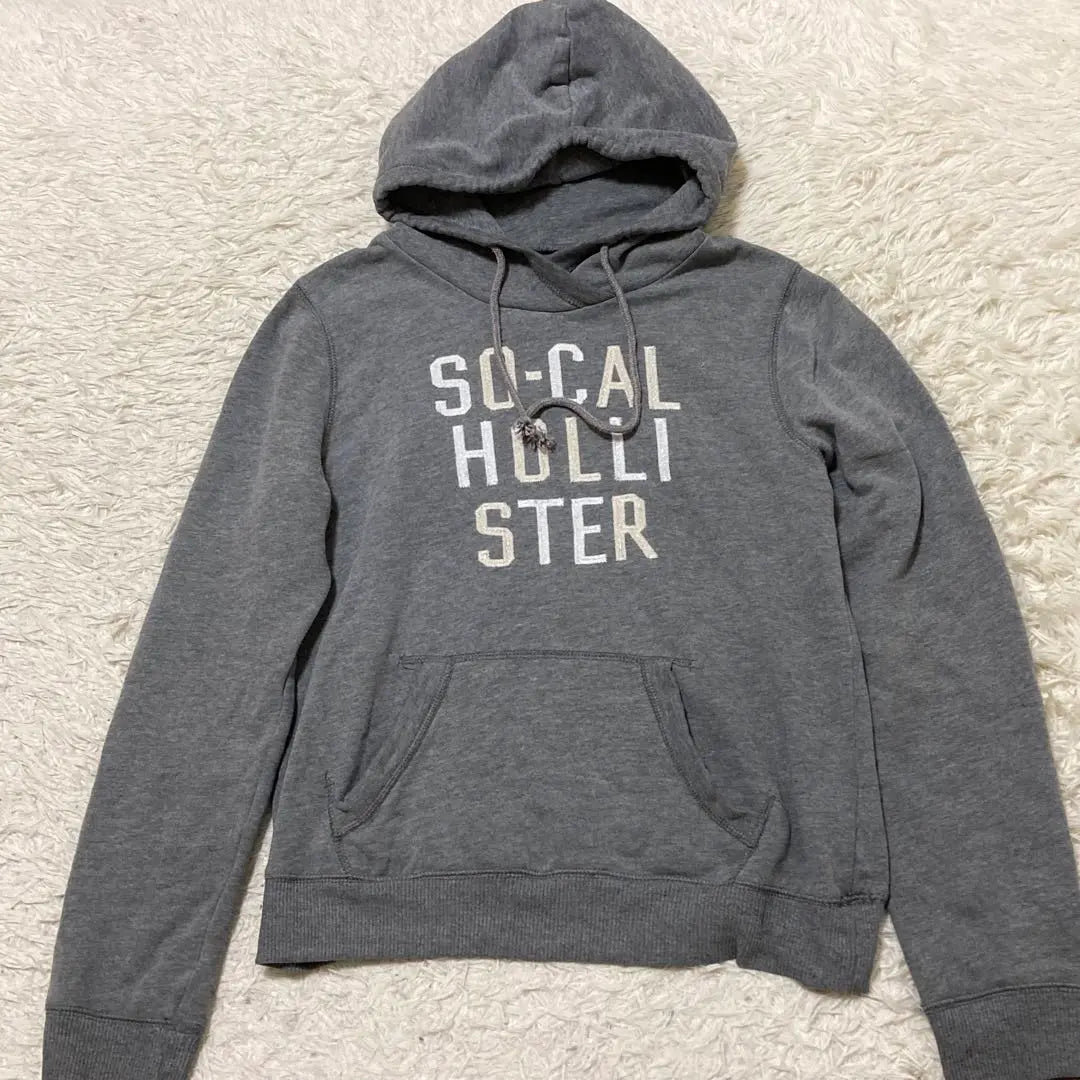 Beautiful Hollister Simple Basic Pullover Hoodie Adult Casual Logo