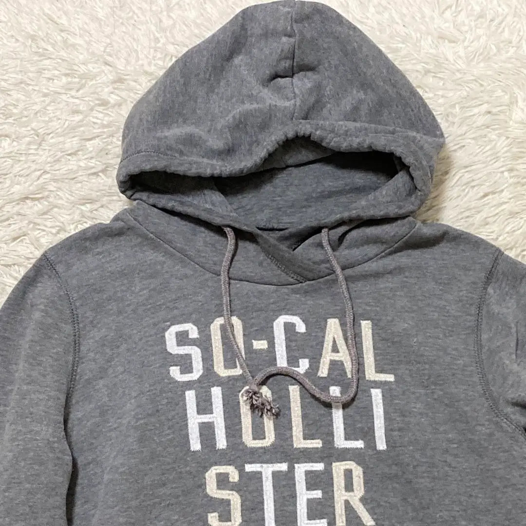 Beautiful Hollister Simple Basic Pullover Hoodie Adult Casual Logo