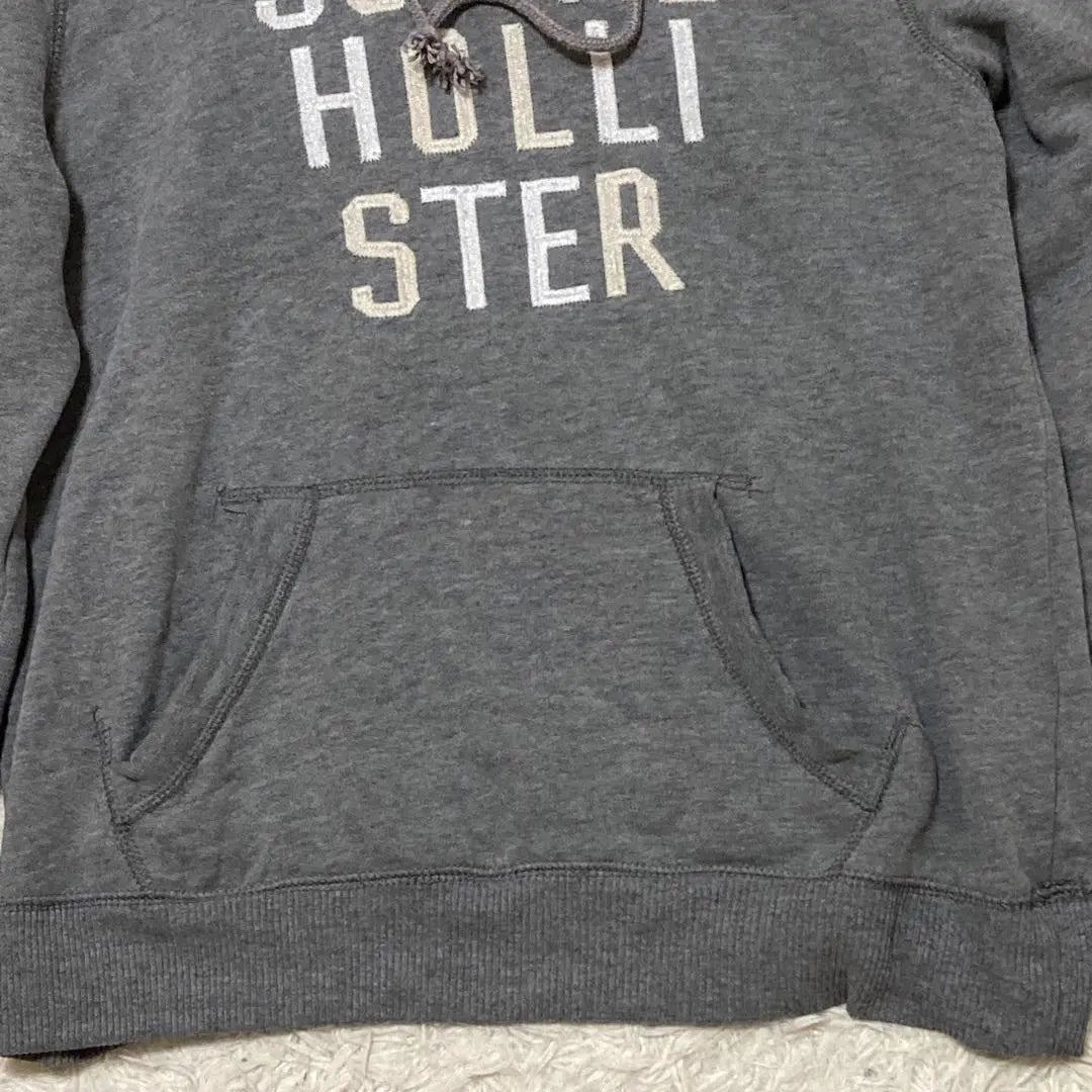 Beautiful Hollister Simple Basic Pullover Hoodie Adult Casual Logo