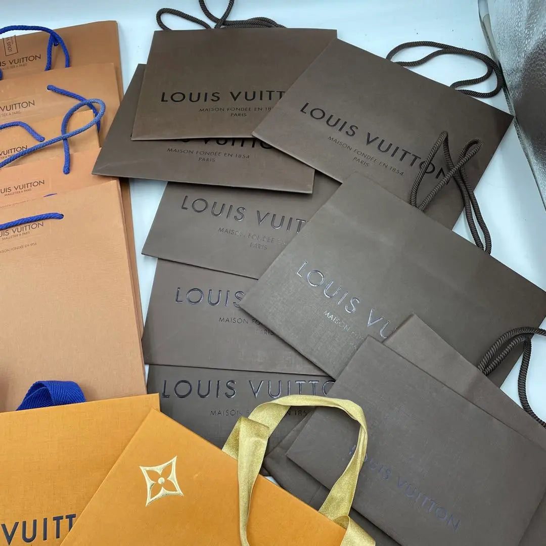 Louis Vuitton Storage Bags 26 Pieces Set