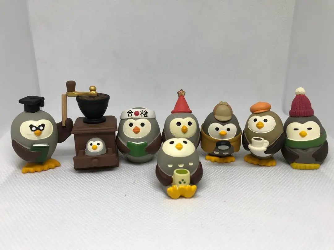 Concomble Owl Set