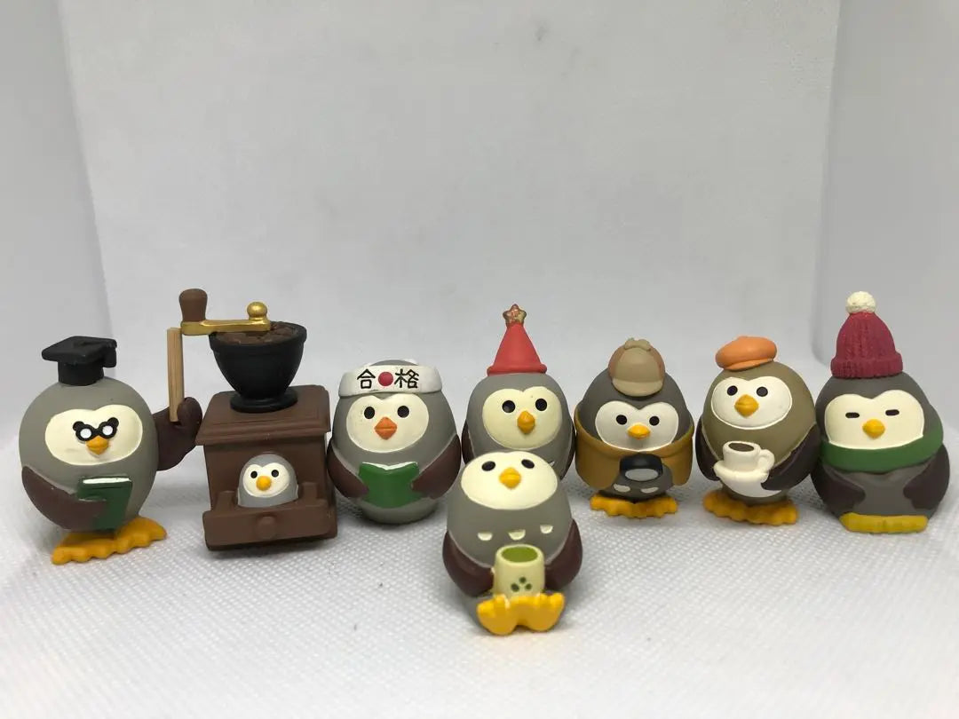 Concomble Owl Set