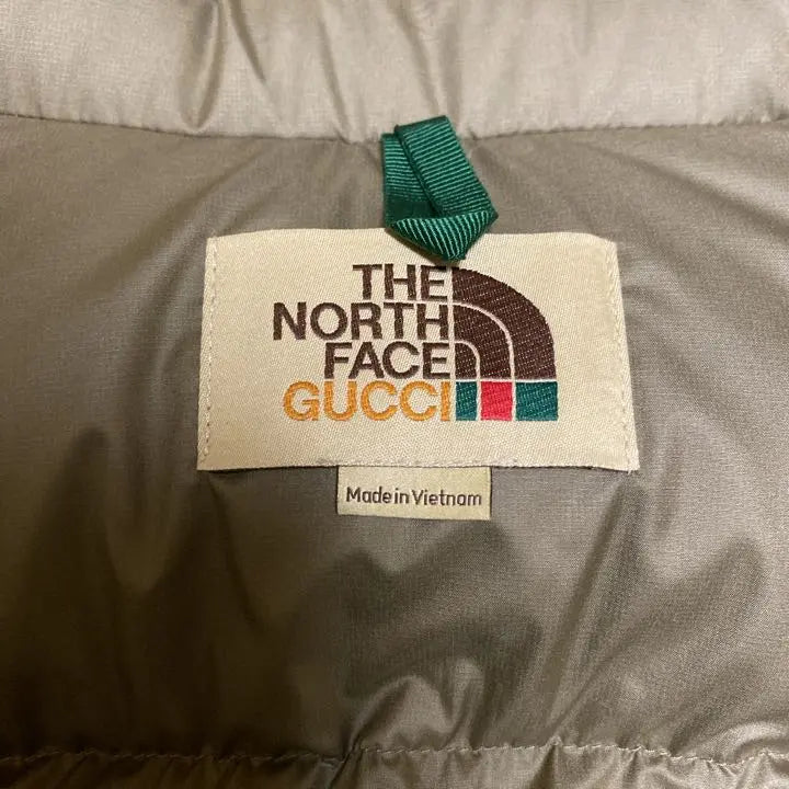 Súper raro THE NORTH FACE × GUCCI The North Face