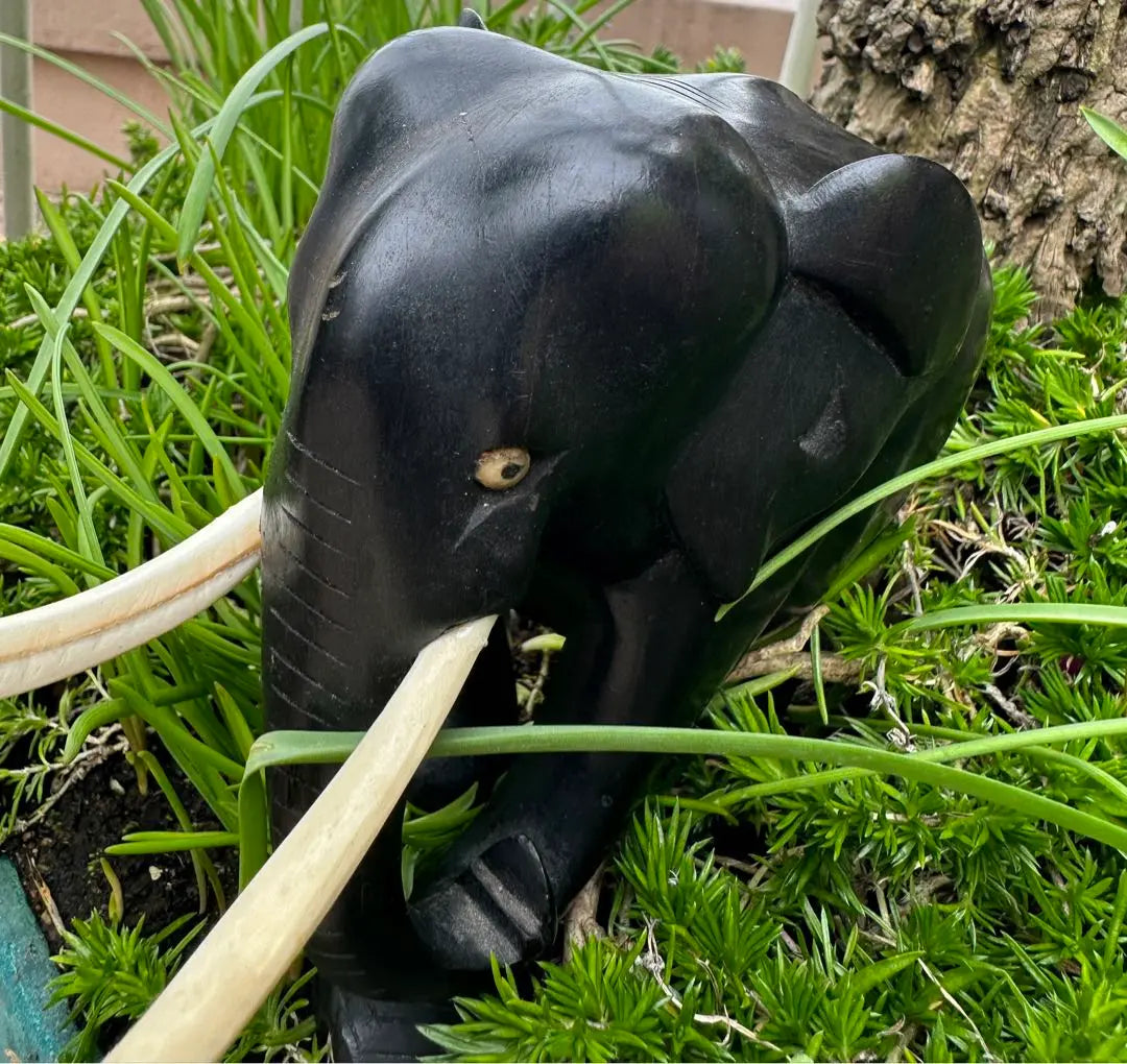 ★Elephant ornament, ebony and has a heavy feel. Made in South Africa.