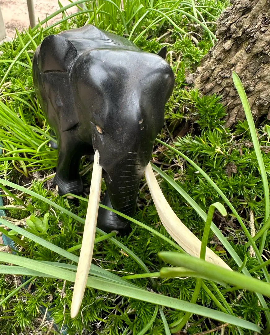 ★Adorno de elefante de ébano que da una sensación de pesadez. Fabricado en Sudáfrica.