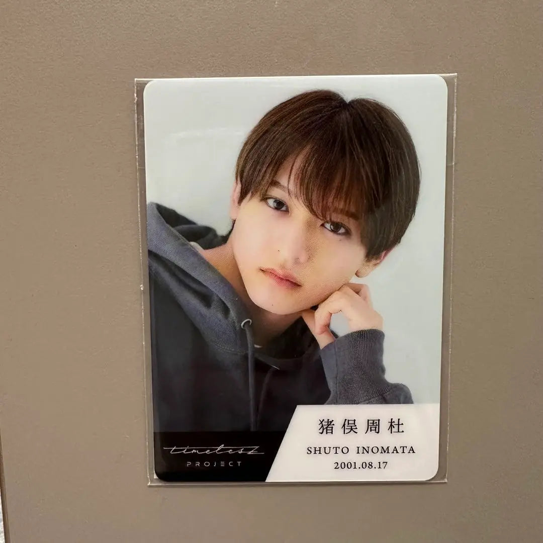 timelesz project trading card Inomata Shumori