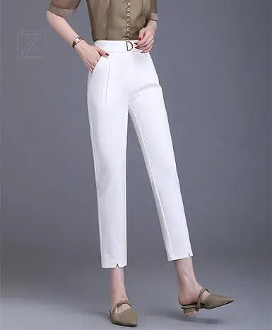 [eleitchtee] [LHT] Suit Pants Trousers Women's S Size