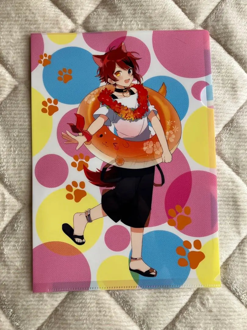 Stupuri Rinukun Clear File 5 Disc Set