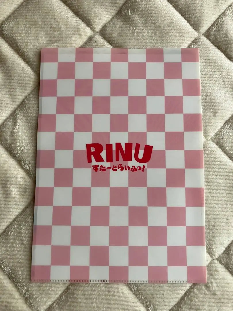 Stupuri Rinukun Clear File 5 Disc Set