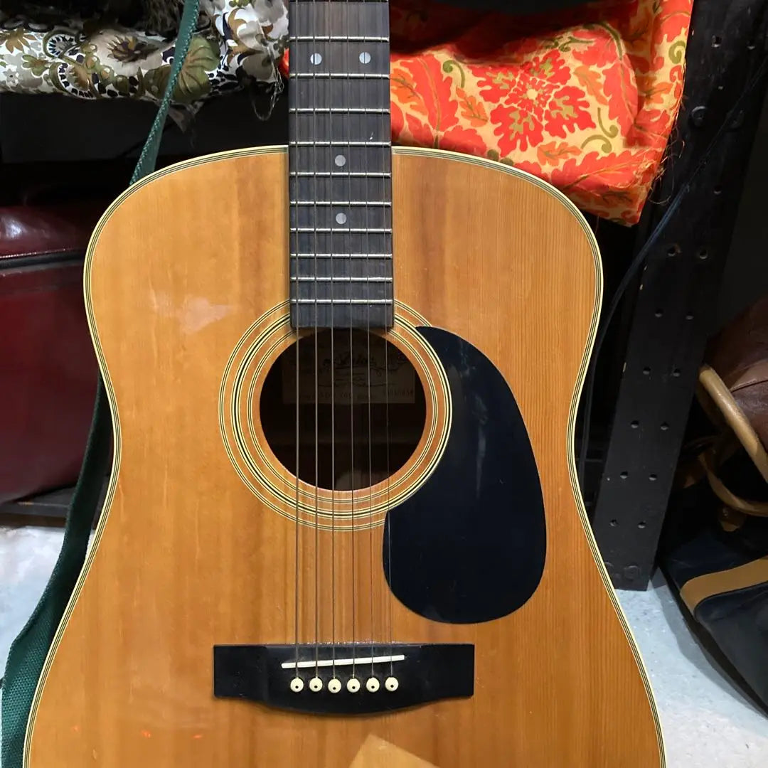 Aria ADW 200 Guitarra Acústica | Aria ADW 200 アコースティックギター