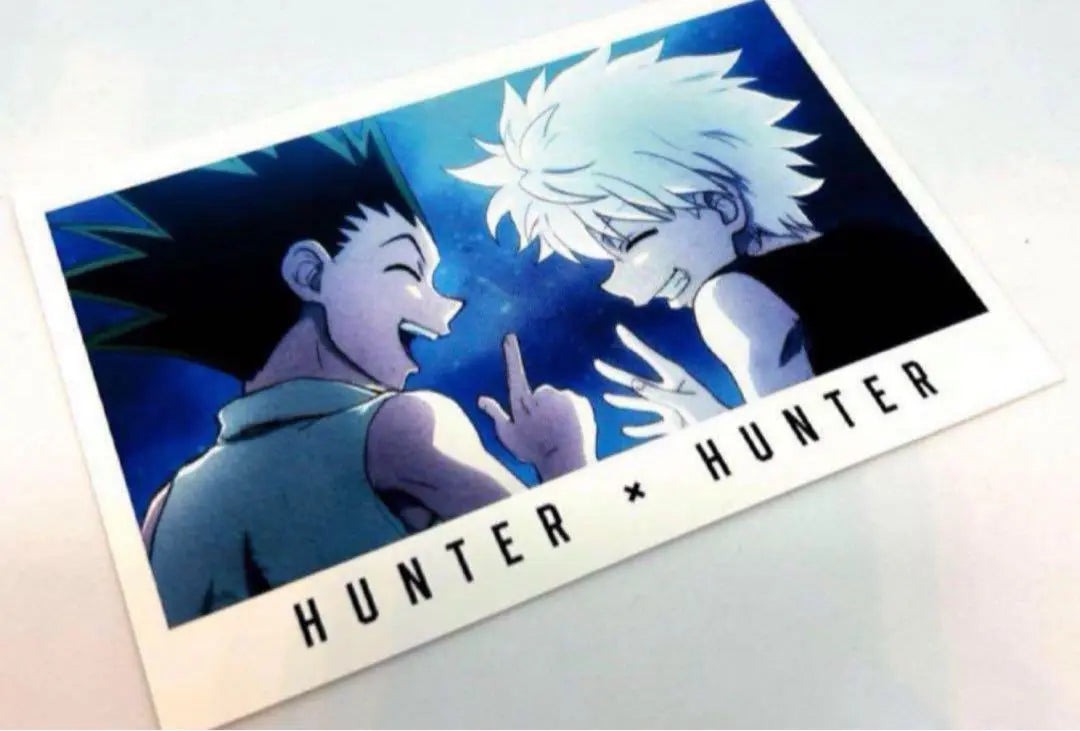 HUNTER x HUNTER Hunter x Hunter Gon Killua Not for sale Posta Photo