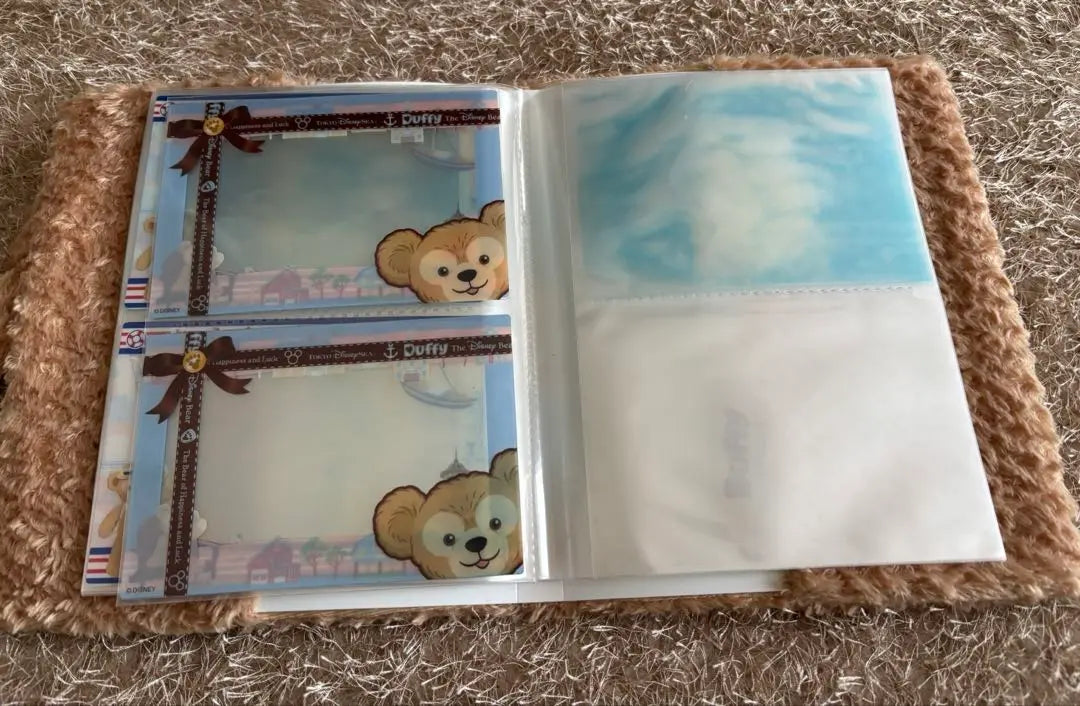 Disney Duffy Photo Album Case