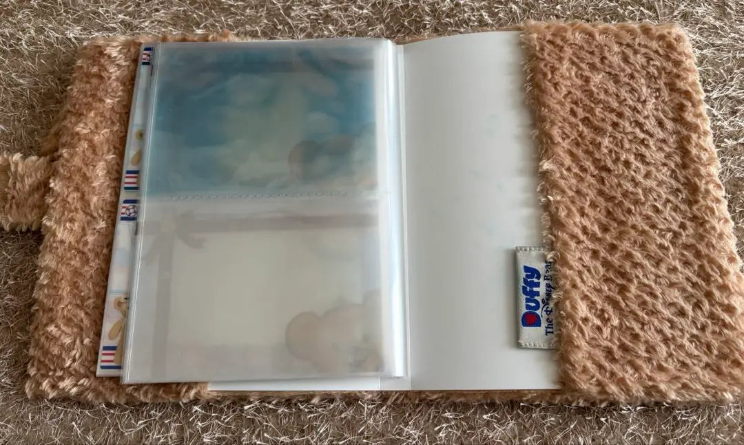 Disney Duffy Photo Album Case