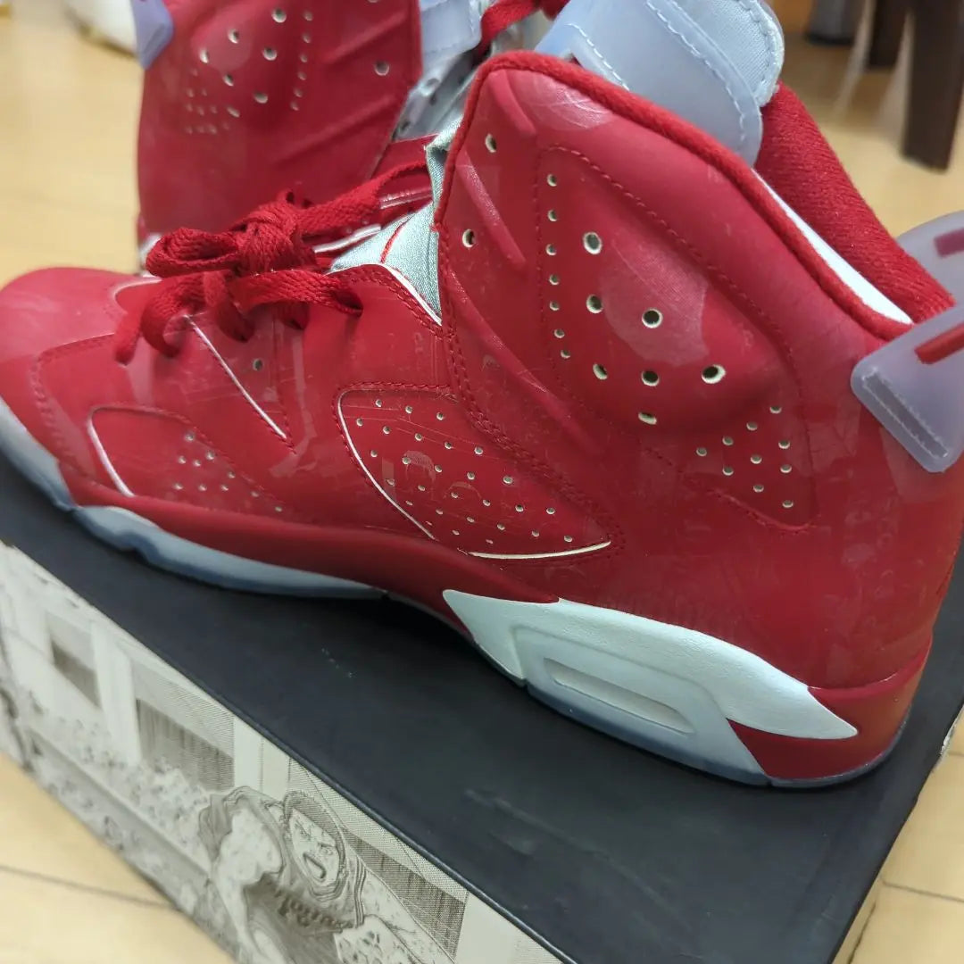 Nike Air Jordan 6 RETRO "SLAM DUNK"　29cm | Nike Air Jordan 6 RETRO "SLAM DUNK"　29cm