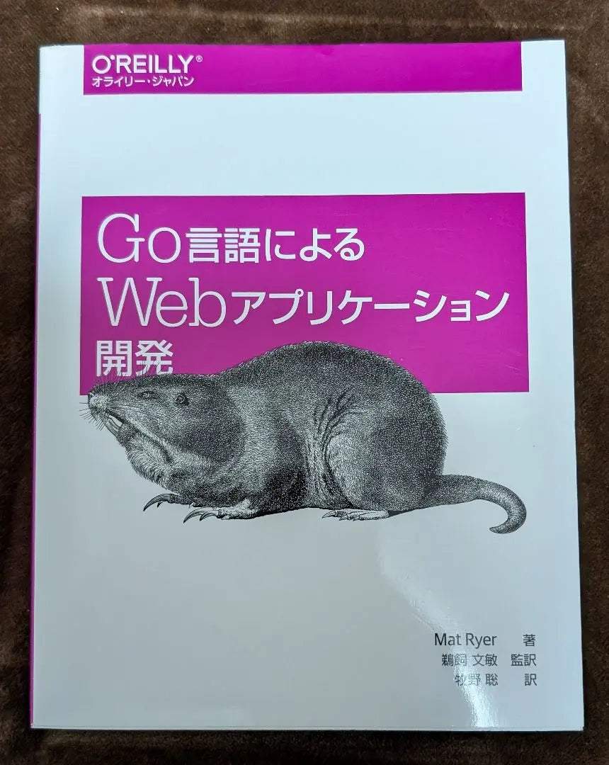 Web application development using GO language