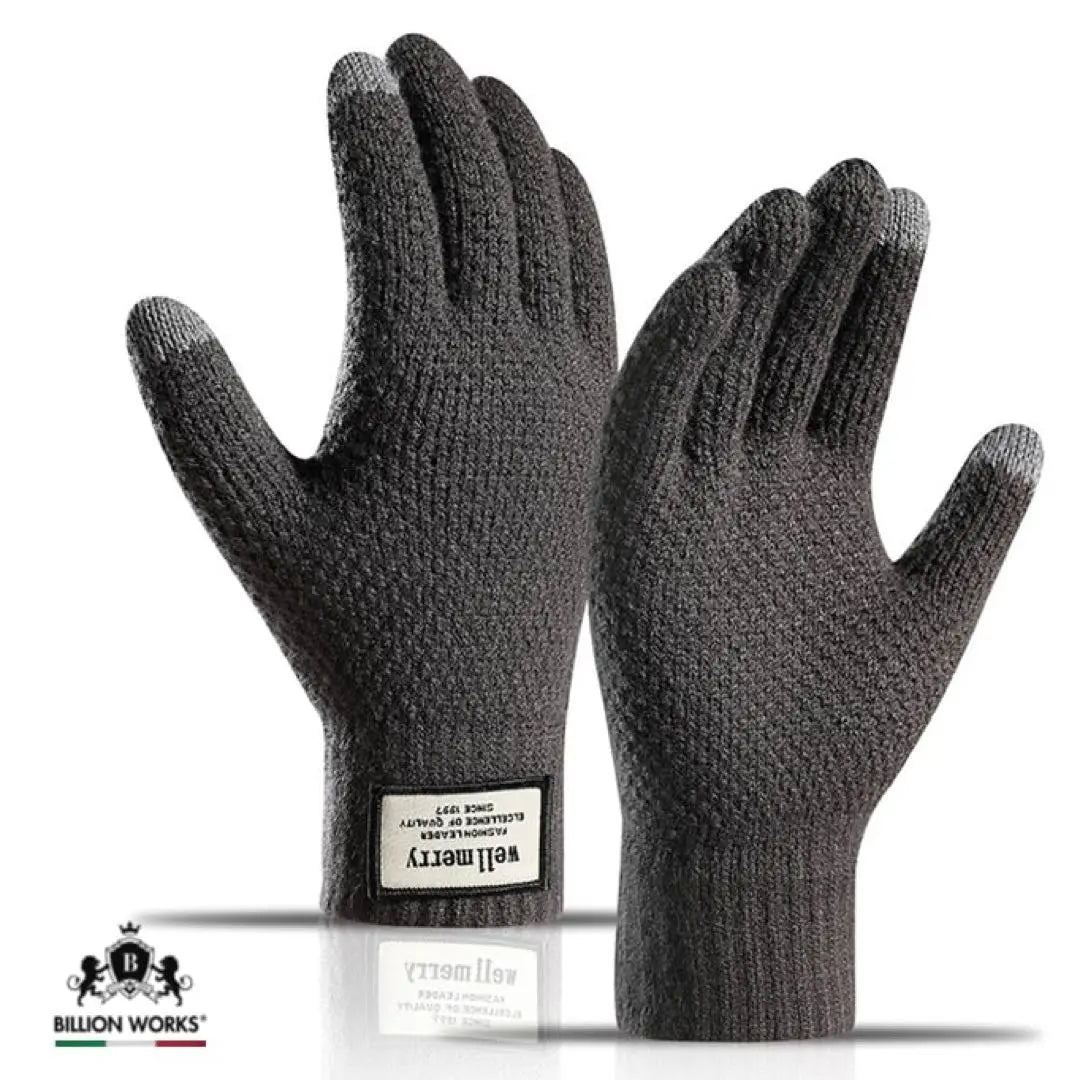 Gloves, Cold Protection, Men's Outdoor Gloves, Work Gloves, Smartphone Compatible, Warm, Motorcycle