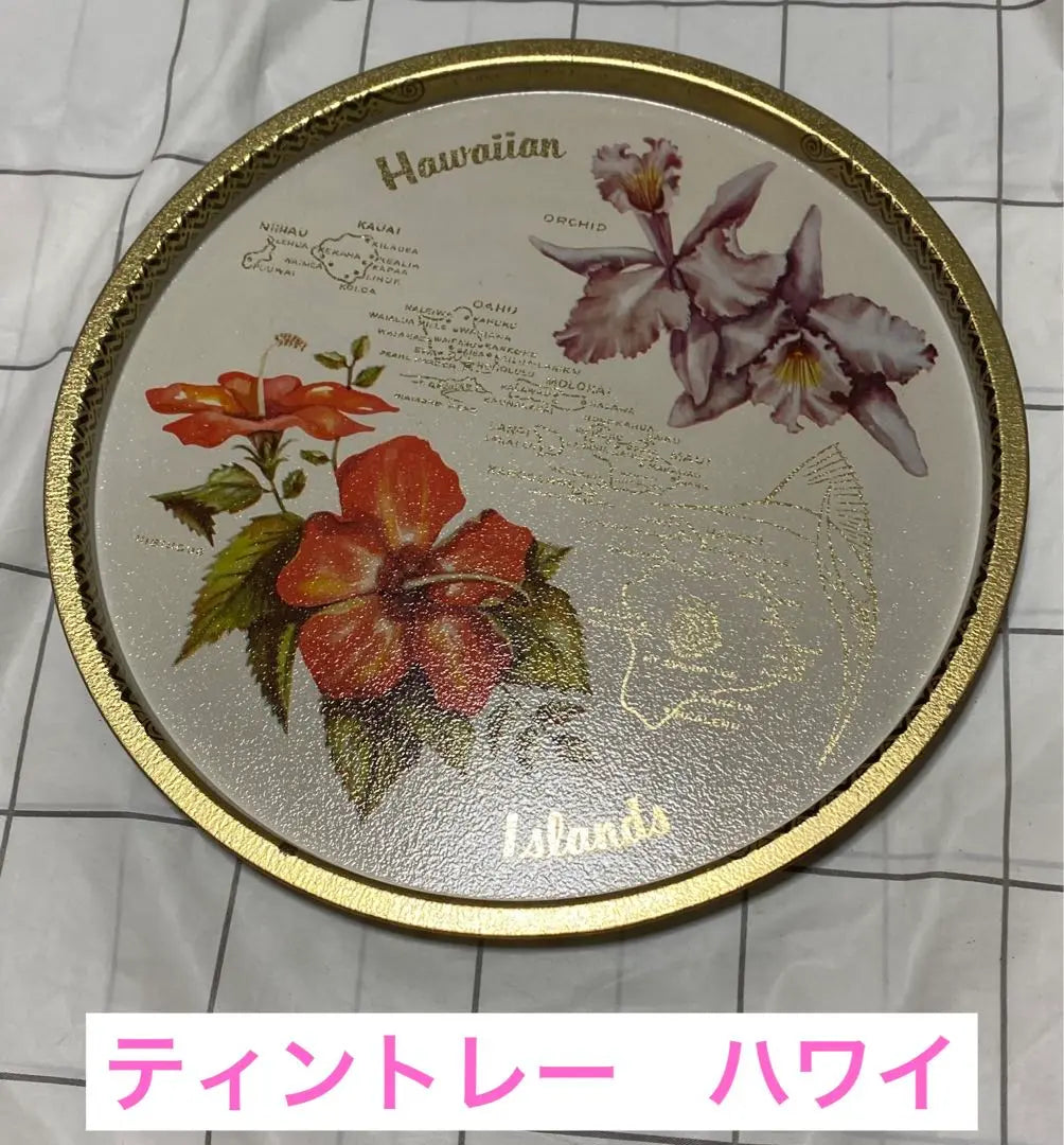 Tint Tray Hawaii Souvenir Tray Hibiscus Orchid Orchid