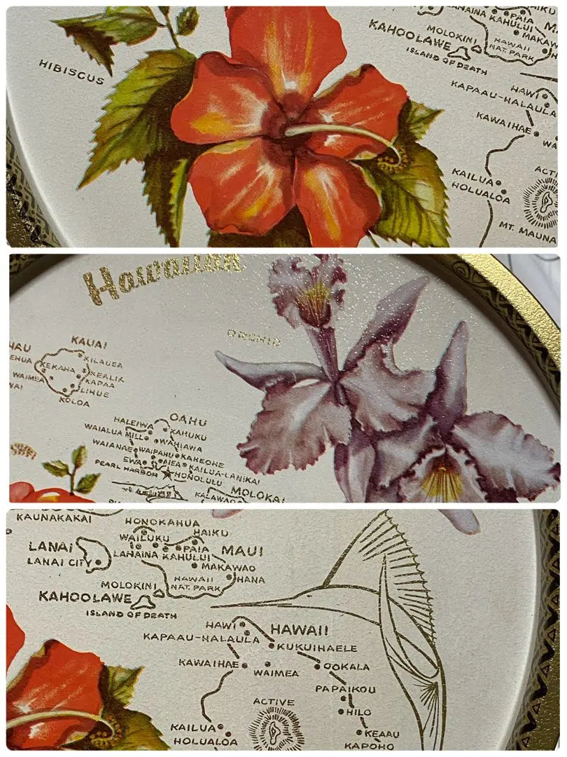 Tint Tray Hawaii Souvenir Tray Hibiscus Orchid Orchid