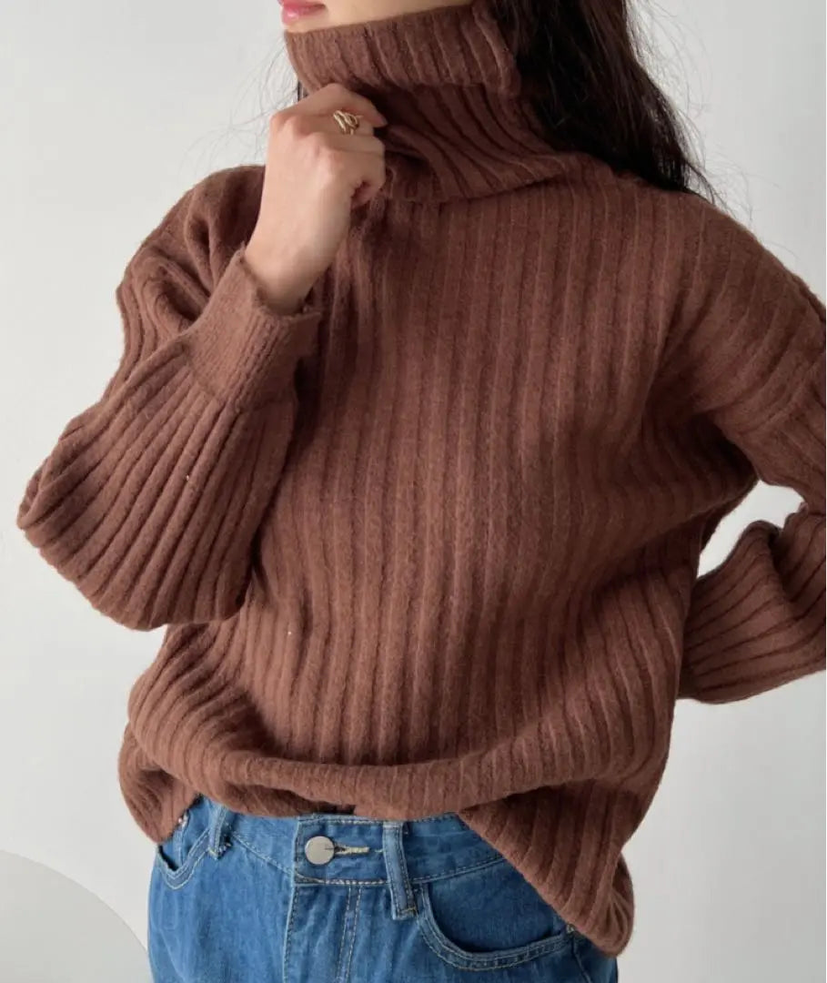 [Price reduction] CLEA turtleneck knit