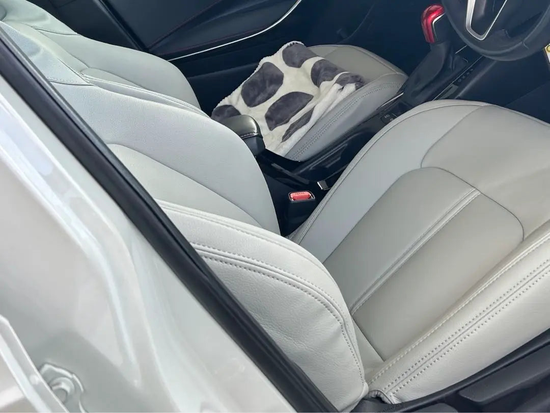 Clazzio Prime Corolla Sports Light Gray Seat Cover Modellista