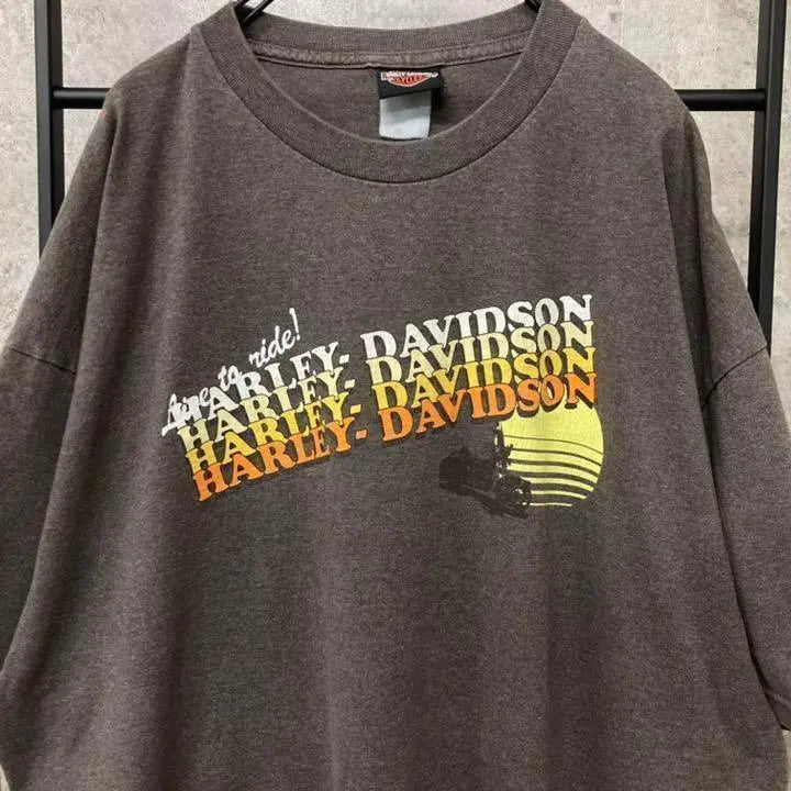 《US used clothing》Harley Davidson logo print brown T-shirt for men 2XL