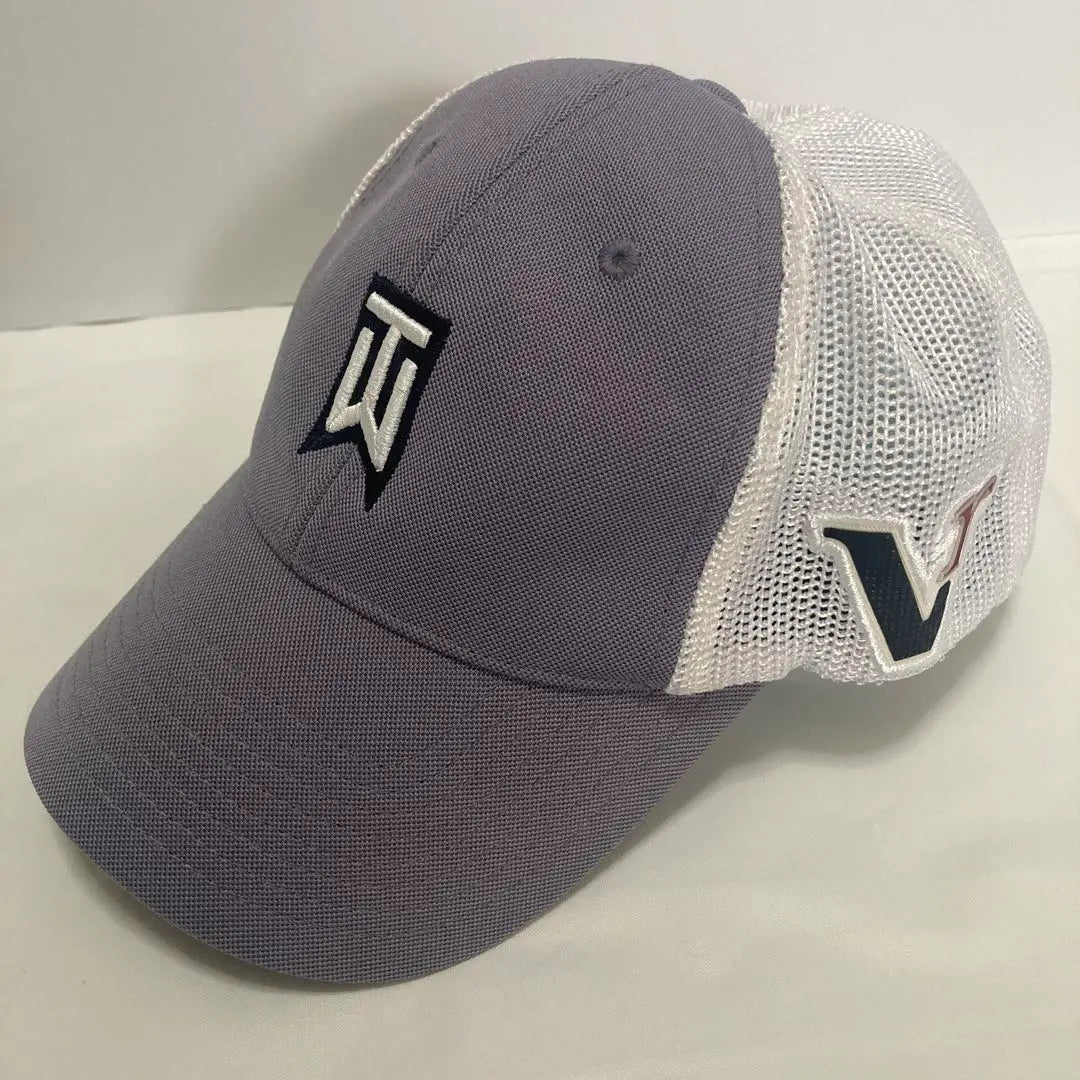 Nike TW logo mesh cap grey/white