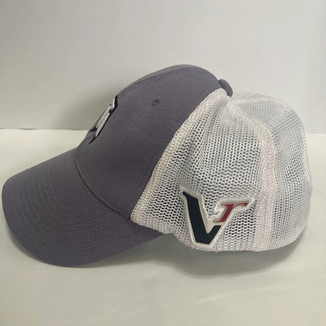 Nike TW logo mesh cap grey/white