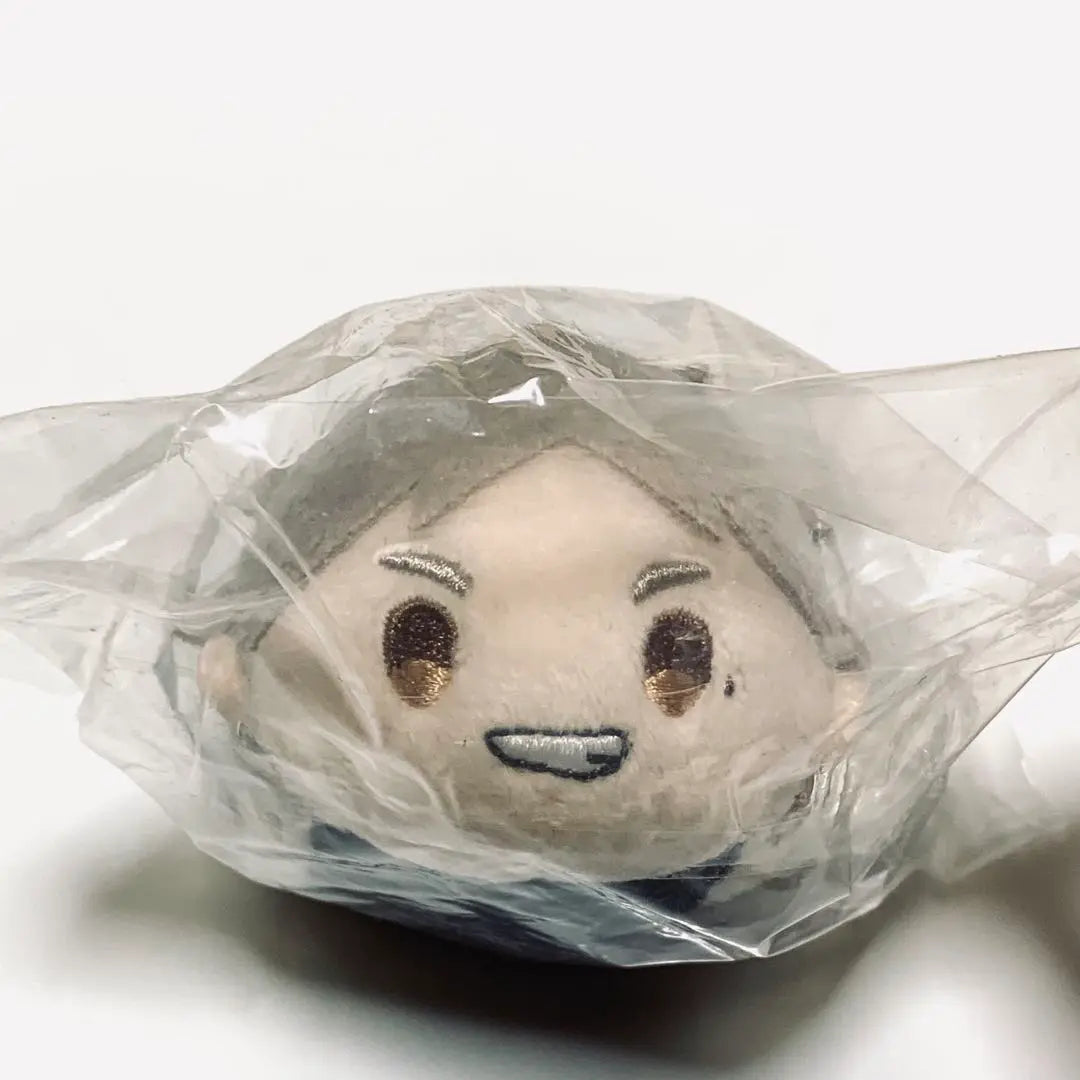 Haikyuu Chewy Mascot Karasuno Sugawara Takashi