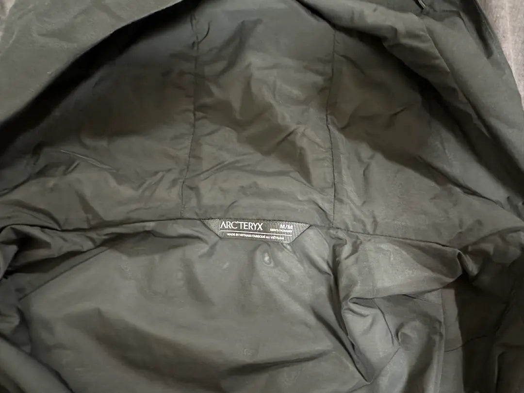 Arc'teryx Kadin Hoody