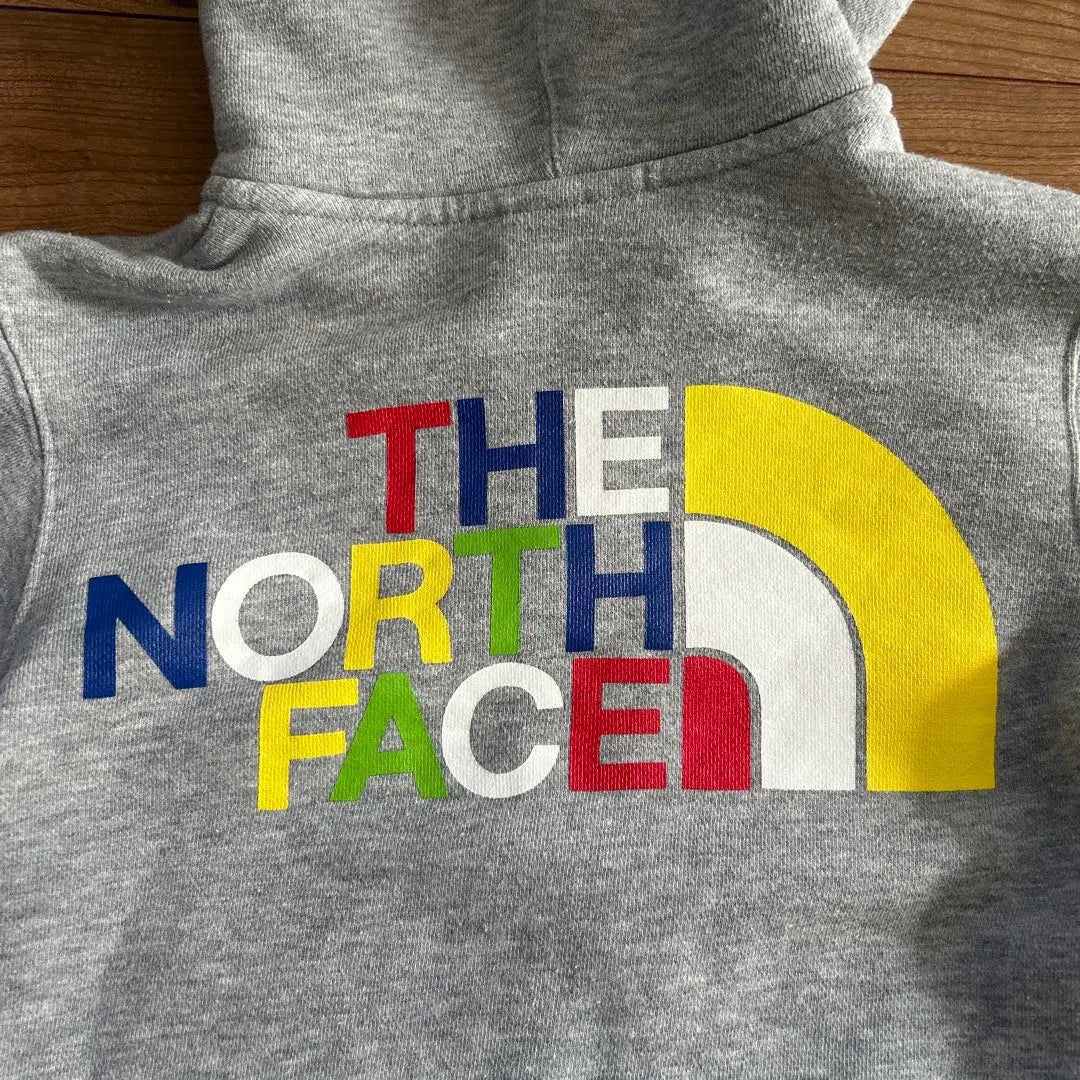 THE NORTH FACE grey parka 120