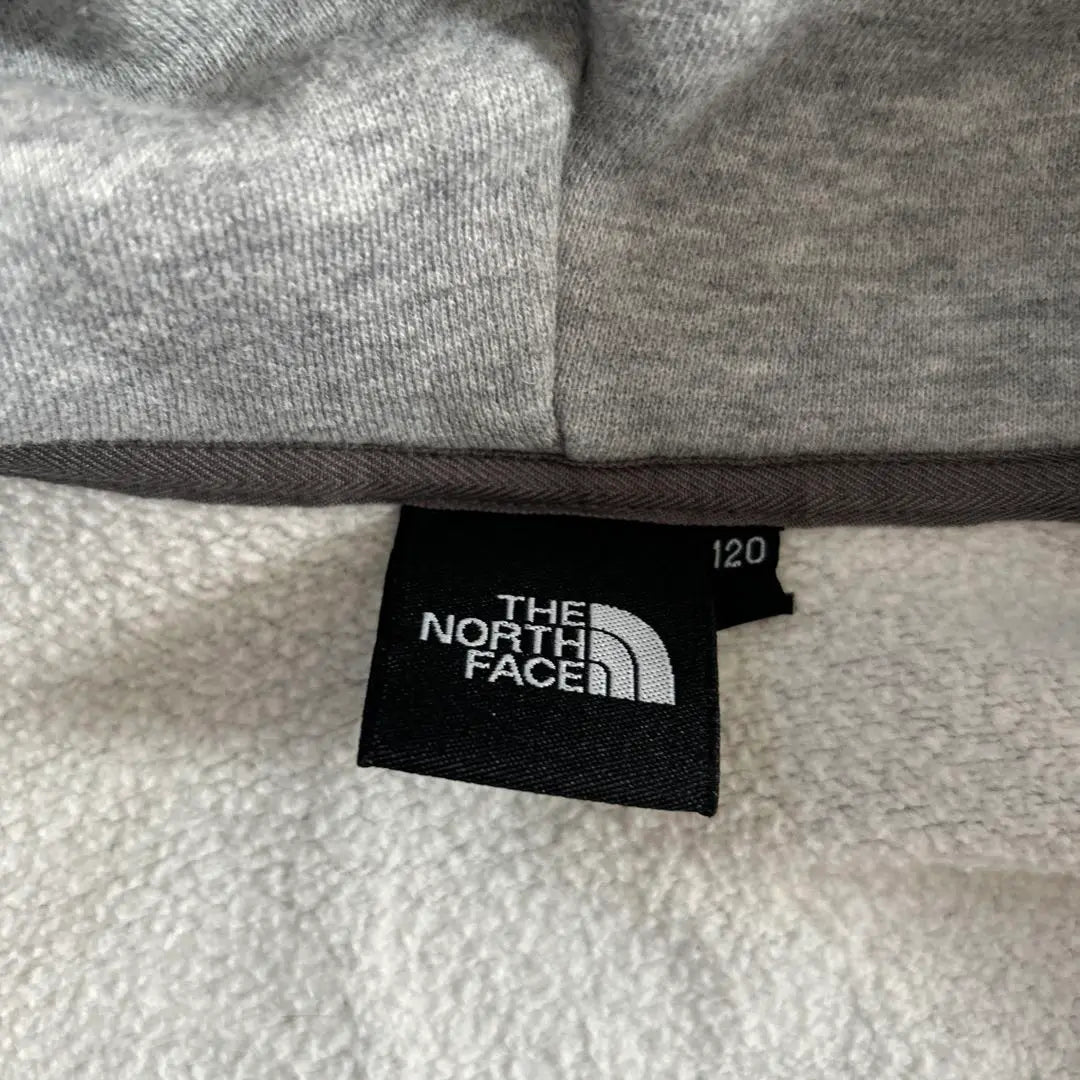 THE NORTH FACE grey parka 120