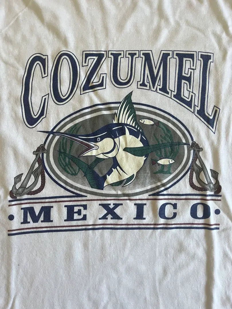 Camiseta de ropa vieja de pescado de México