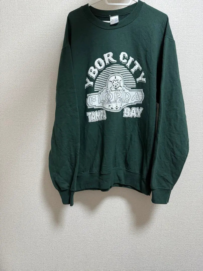 Sweatshirt, fleece lining, US state logo L, green, rare, vintage loose dot