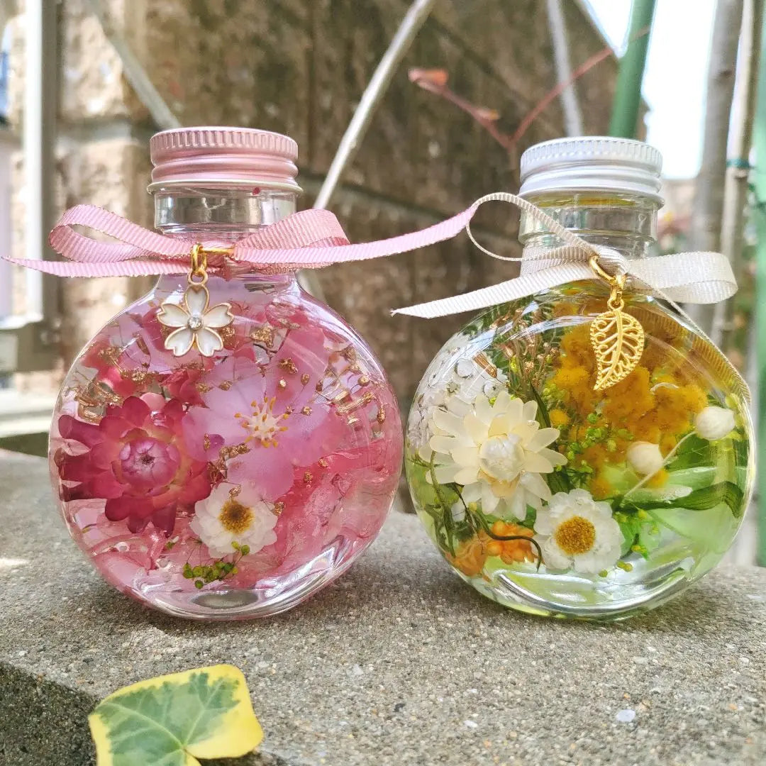 Spring Garden♪ Cherry blossoms and mimosa cat bottle herborium