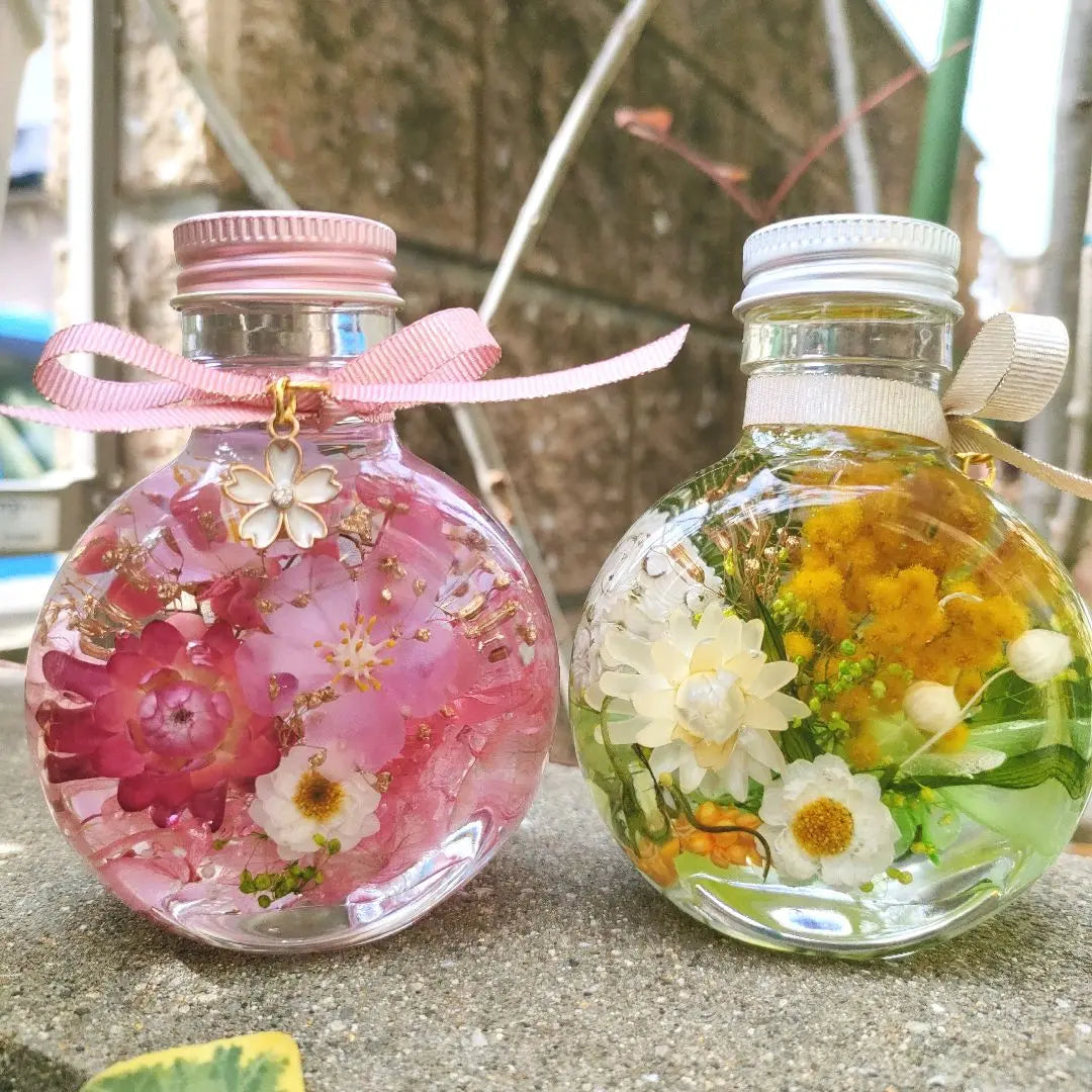 Spring Garden♪ Cherry blossoms and mimosa cat bottle herborium