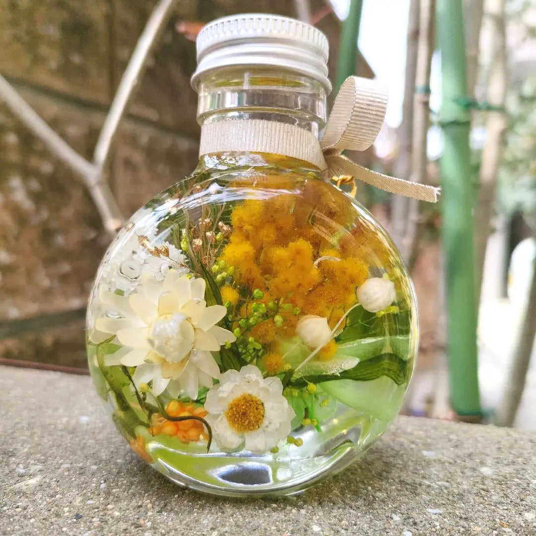 Spring Garden♪ Cherry blossoms and mimosa cat bottle herborium