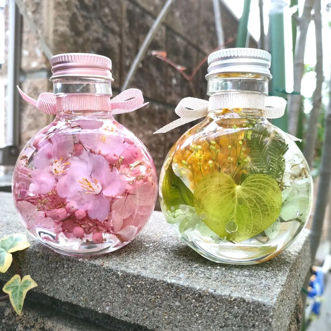 Spring Garden♪ Cherry blossoms and mimosa cat bottle herborium