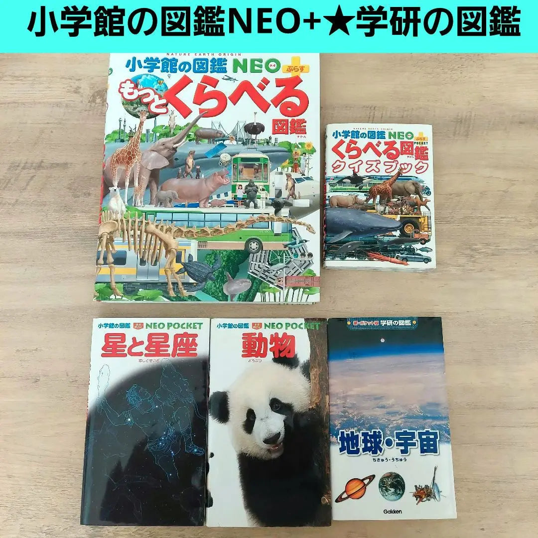 Shogakukan's picture book Gakken picture book 図 図 図 鑑 動 動 動 動 動 宇 宇 宇 宇 宇 宇 宇 宇 宇 | 小学館の図鑑 学研の図鑑 ポケット くらべる図鑑 動物 星 地球 宇宙